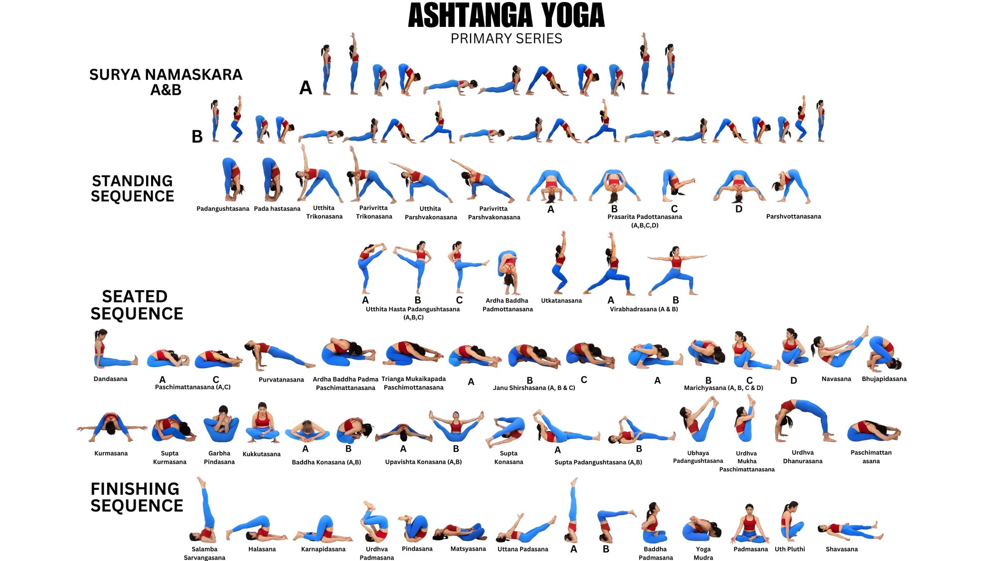 Susan's Ashtanga Primary Series chart poster